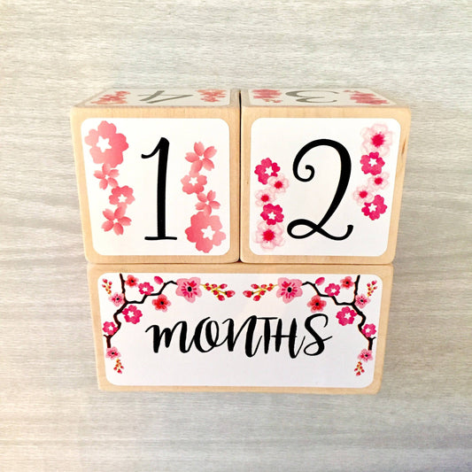 Baby Milestone Blocks - Cherry Blossom Flowers