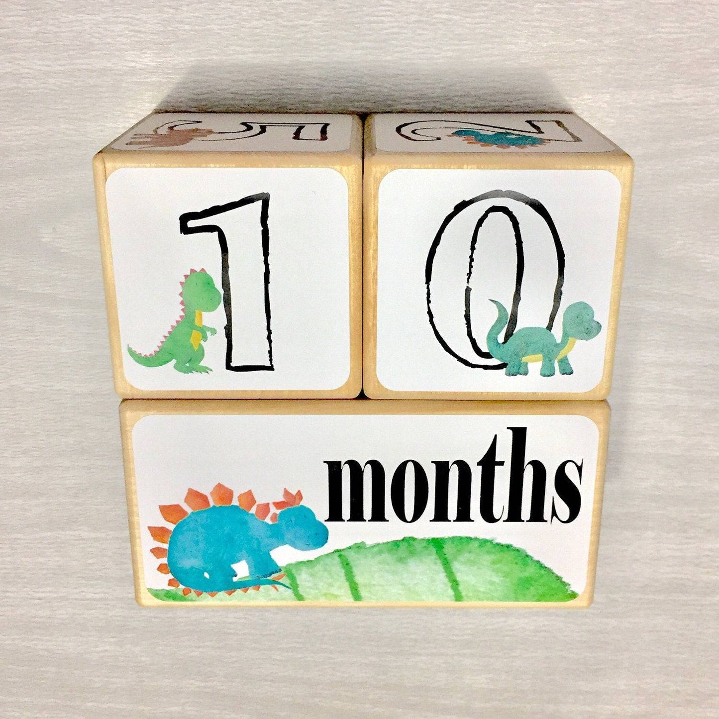 Baby Milestone Blocks - Dinosaur