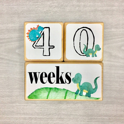 Baby Milestone Blocks - Dinosaur