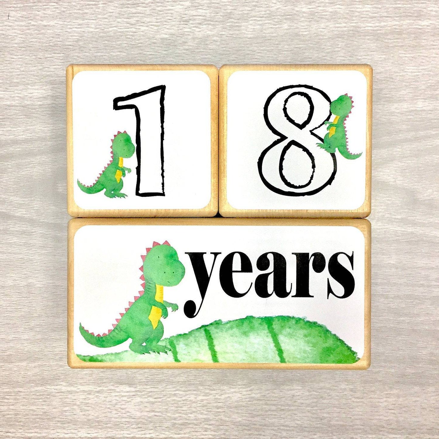 Baby Milestone Blocks - Dinosaur