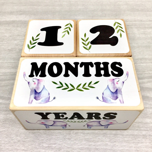 Baby Milestone Blocks - Elephants