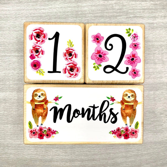 Baby Milestone Blocks - Sloth