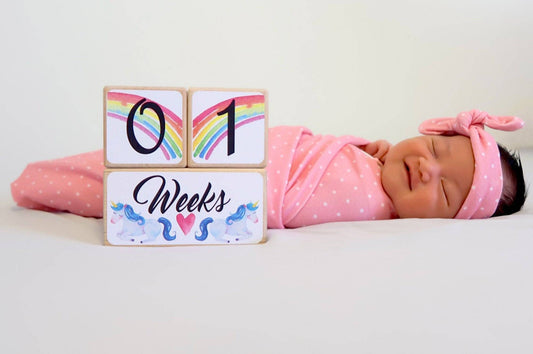 Baby Milestone Blocks - Unicorn