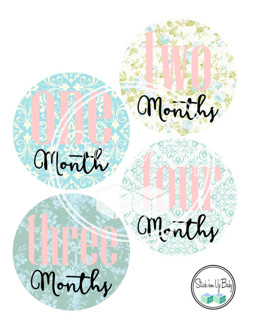 Blue Vintage | Monthly Baby Stickers