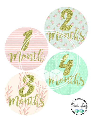 Shabby Chic | Monthly Baby Stickers | Stick’em Up Baby™