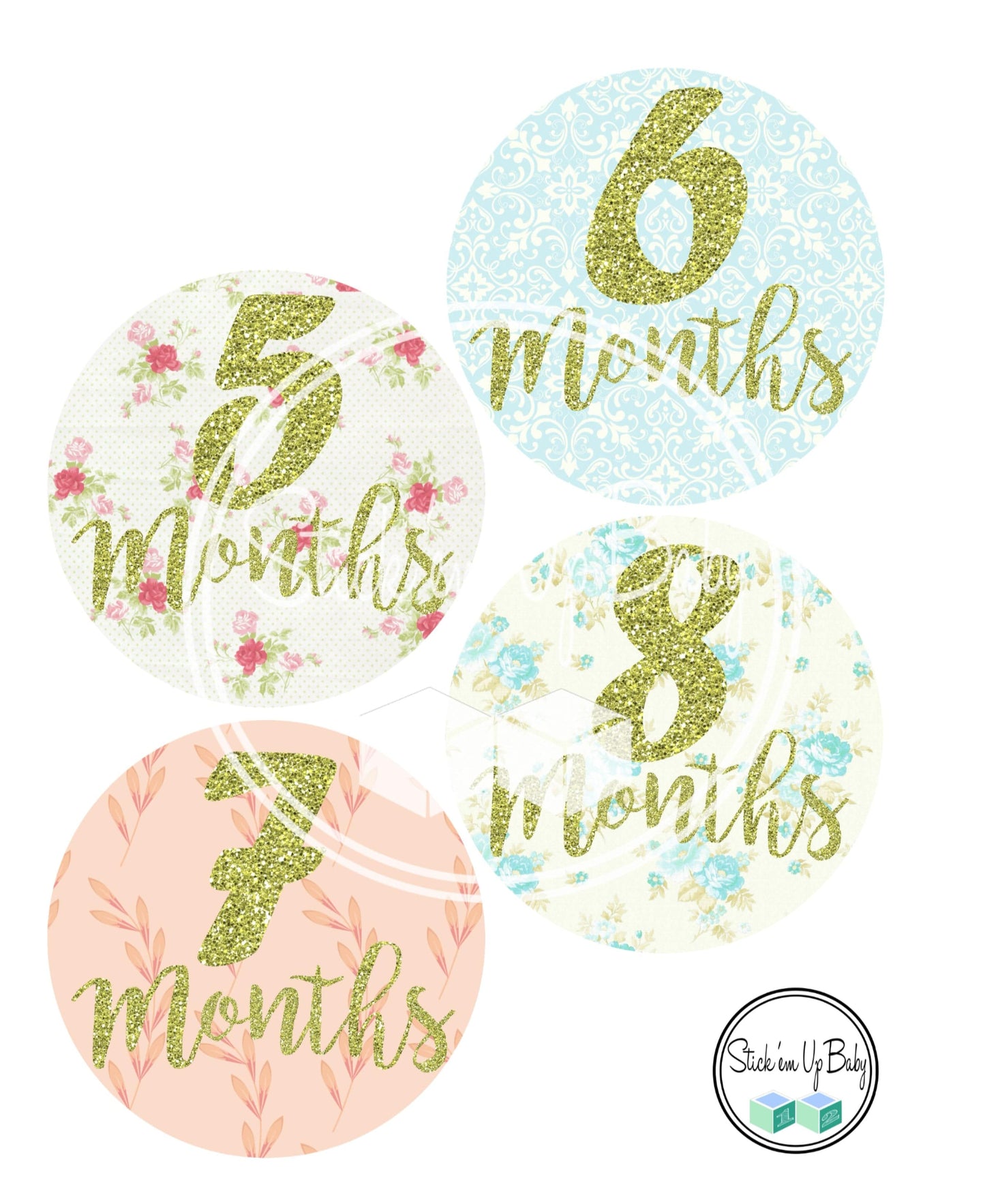 Shabby Chic | Monthly Baby Stickers | Stick’em Up Baby™